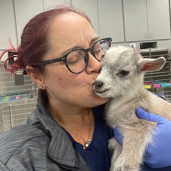 🧜🏼‍♀️ Meet Your Posher! 🦩 - Picture 4 of 10